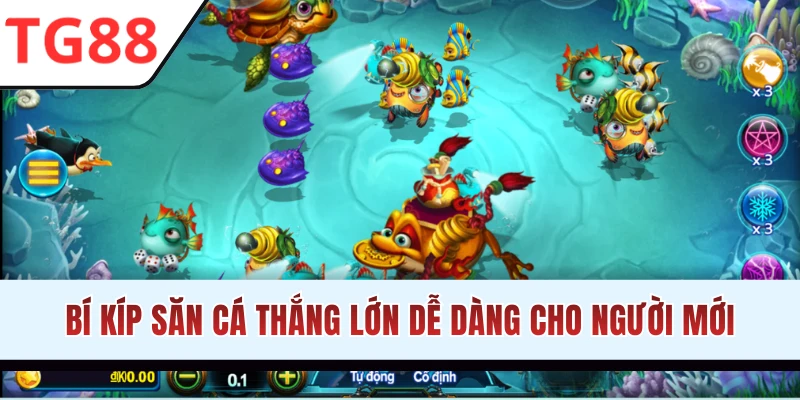 Bí kíp săn con mồi thắng lớn dễ dàng